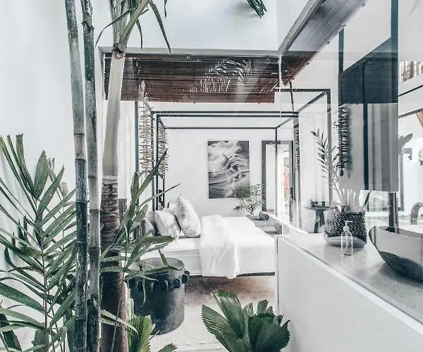 Beyond Guest house